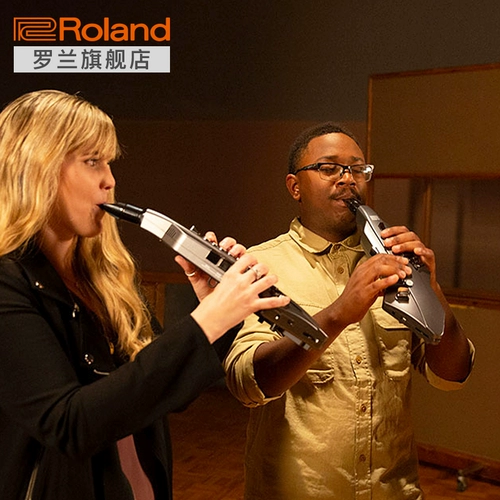Roland Roland Hair Tube AE-05 Electric Saxophone Digital Tube Стиль игры с динамиком источника звука