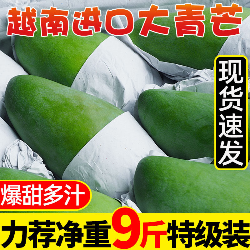 Vietnam's big green mango new fruit mango water fresh when season full box 5 catty greens golden huang 10 jade busy