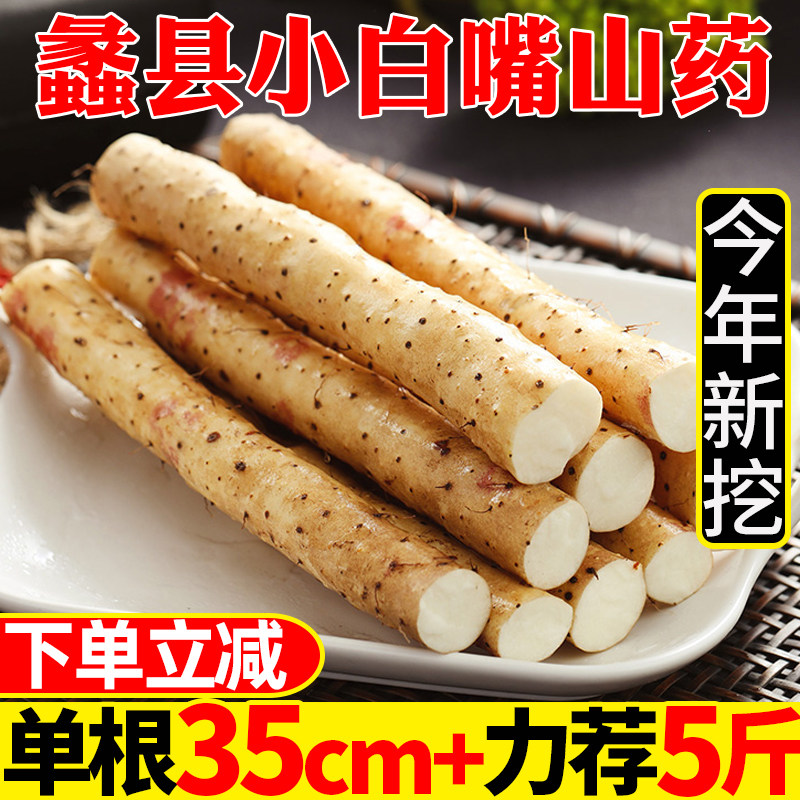 Fresh yam 5 catty white mouth iron rod iron rods Huai Mountain Huaima yam Non-Henan Jiao Zuowen County clay soil