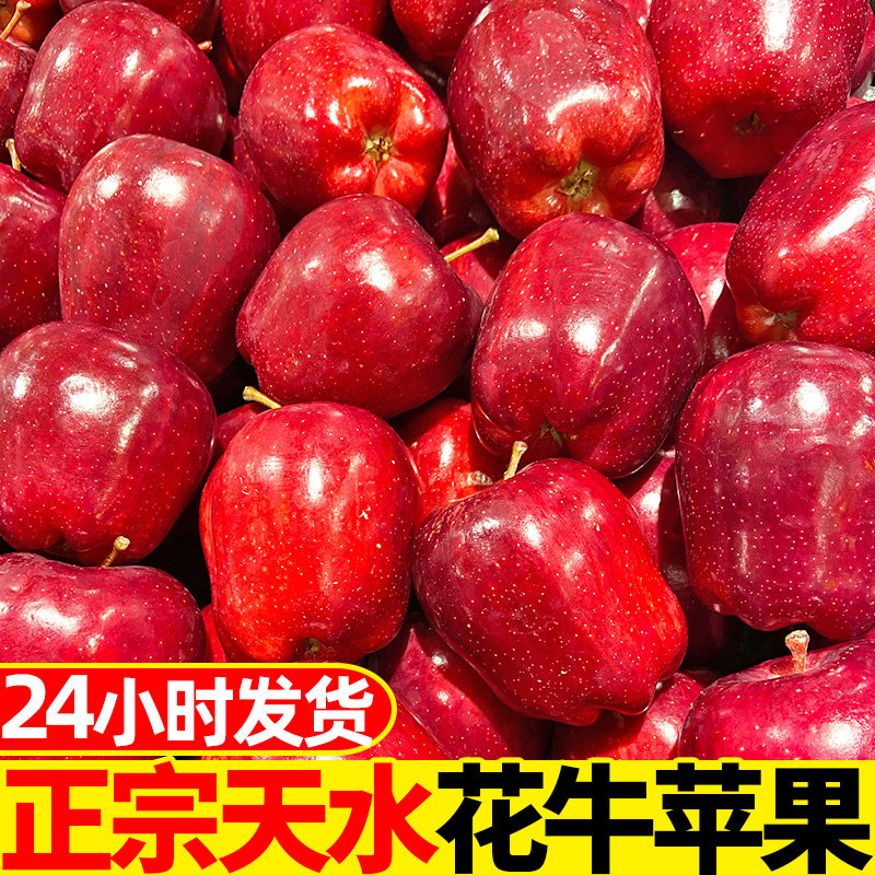 Gansu Tianshui Huaniu apple 10 catties fresh fruit whole box red snake powder noodle ugly flat fruit safe
