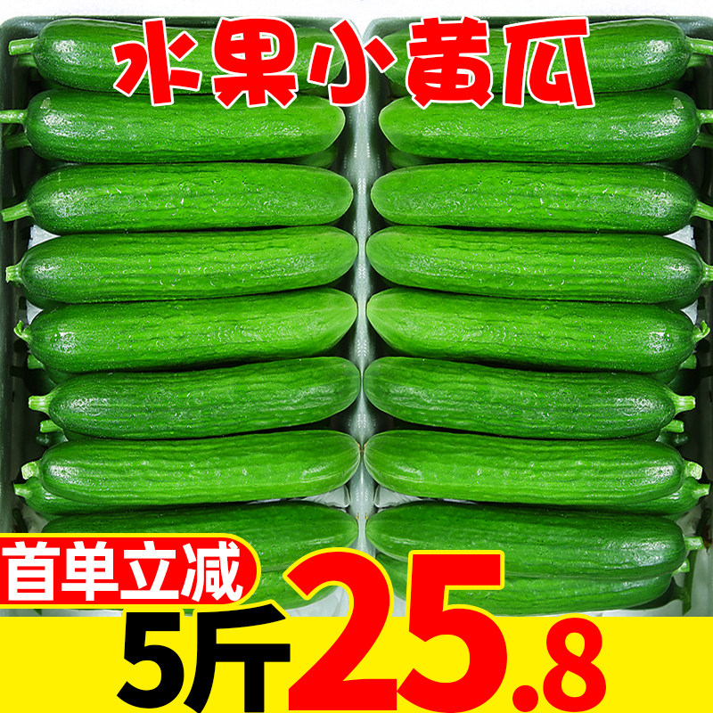 Fruit small cucumber 5 catty of fresh vegetables pregnant women in Shandong dry raw eating Dutch melon No Spurs green melon 10 whole box