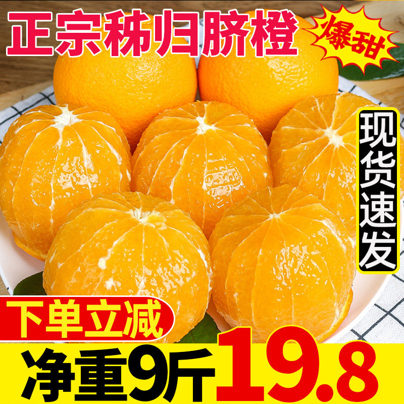 Zigui Navel Orange Fresh Fruit When Season 10 Kilos Orange Whole Boxes Should Season Jelly Hand Exfoliate Orange Summer Wholesale