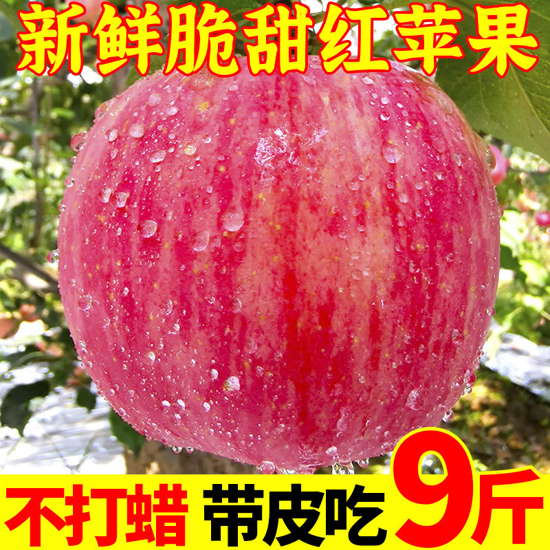 Fresh red apple Gala 10 catties of fruit fresh in season season FCL season first-class red 9 Fuji