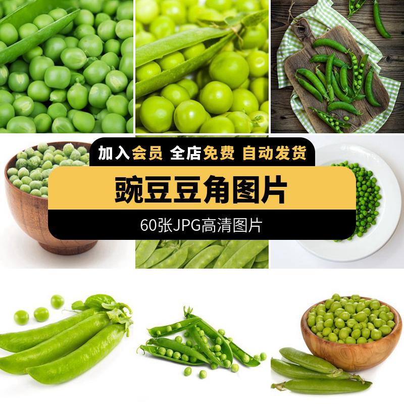 White Background Vegetables Edamame Green Beans Pea Pods Beans Culinary Ingredients Menu Poster Spray Painting Jpg Image Material