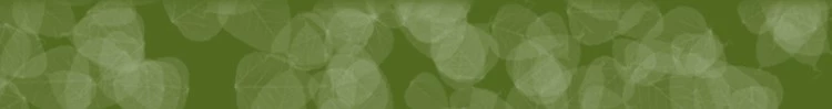 Nước hoa hồng mềm mịn màng dưỡng ẩm và làm sáng tông màu da tự nhiên mặt nạ mềm mịn thẩm mỹ viện cánh hoa chuyên dụng mặt nạ ngủ laneige xanh lá
