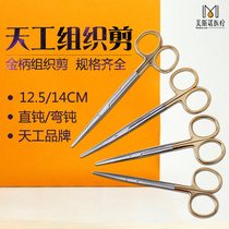Shanghai Zhengxian Tianjin Handle with fine tissue cutting round head cutting and cosmetic plastic medicine 14cm nose scissors