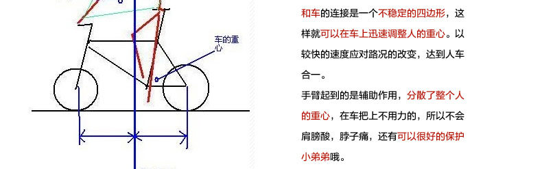 Selle de vélo ACACIA - Ref 2349825 Image 8
