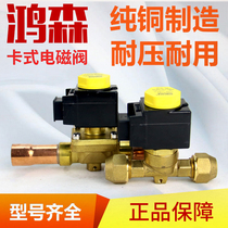 Hongsen 10 series solenoid valve cold storage air conditioning heat pump two electrifying magnetic valve welding port refrigeration machine valve coil 220V