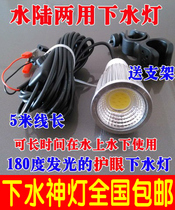 12V Lamp water and ground LED headlamp bead strong light waterproof night fishing light fishing lights 180 degree eye protection
