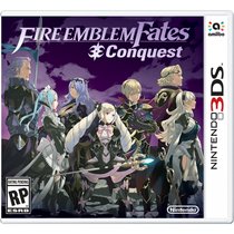 3DS flame coat of arms if the fire of the coat of arms of the night Kingdom Dark Kingdom English new spot