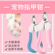 Dog nail clippers pet nail clippers cat nail clippers big and small dogs Teddy beauty products