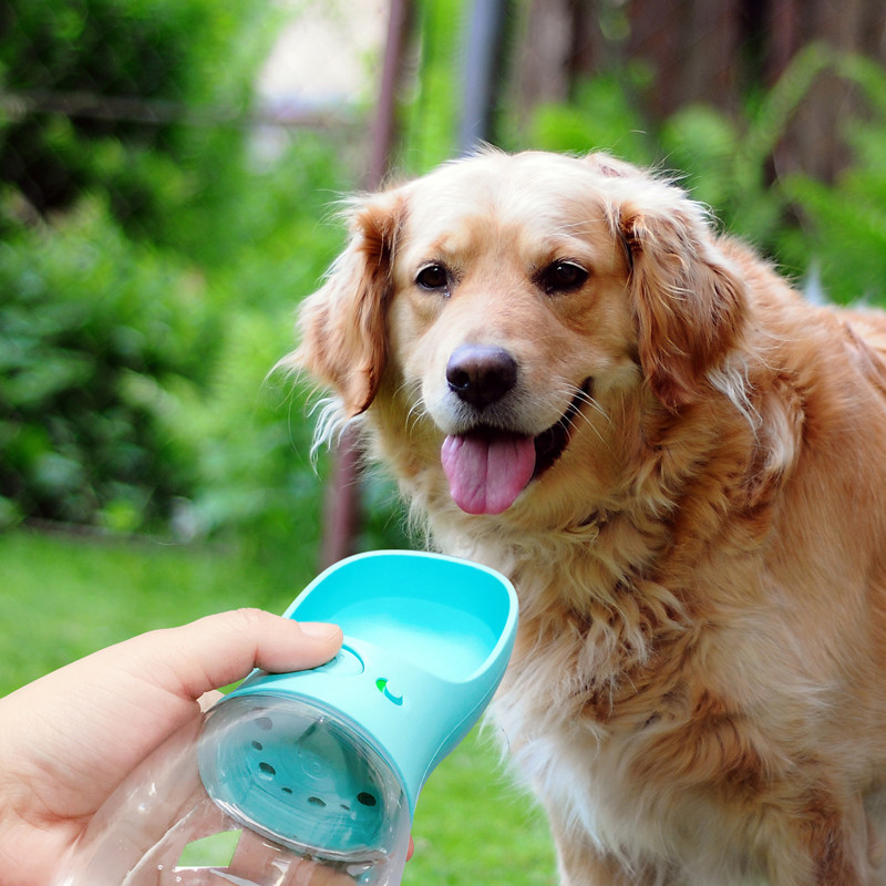 Dogs out of water Kettle Pets Accompanying Cups Portable outdoor feeding water Drinking water Drinking water Drinking water Drink dog supplies