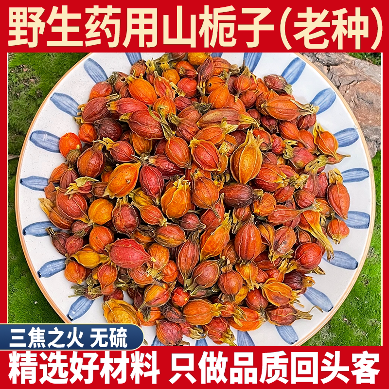 新鲜栀子果,野生黄栀子茶,让你的餐桌焕然一新!🌸🌿-栀子-淘宝百科网