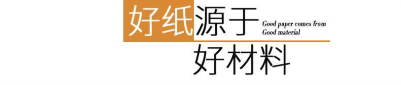 Giấy bìa cứng bìa album giấy bìa thẻ cửa hàng quần áo hướng dẫn sử dụng thẻ dày 450 g phác thảo giấy cửa hàng hoa tự làm - Giấy văn phòng