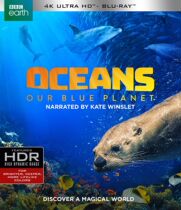 Ocean: Our Blue Planet (4K UHD)(HDR)(DTSHD)(Chinese word) Blu-ray Disc