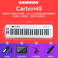 Carbon 49 клавиатура+педаль Yanyin+полка клавиатуры+сумка для клавиатуры+программное обеспечение для источника звука