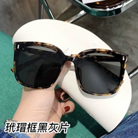 玳瑁 Black Grey Film