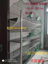 New 50*60 thick free manure 9 rabbit cage extra large rabbit cage hot galvanized wire breeding cage spring door cage