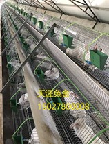 New stepped female rabbit cage rabbit cage rabbit hot galvanized wire