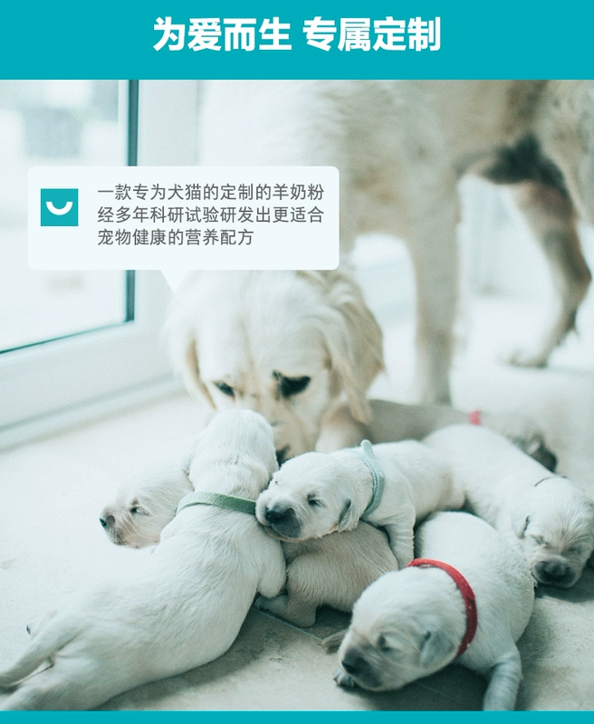 Wei Shi dog sữa dê bột chó con chó con mèo sữa bột chó con chó con gấu bông lông vàng mang thai cho con bú - Cat / Dog Health bổ sung