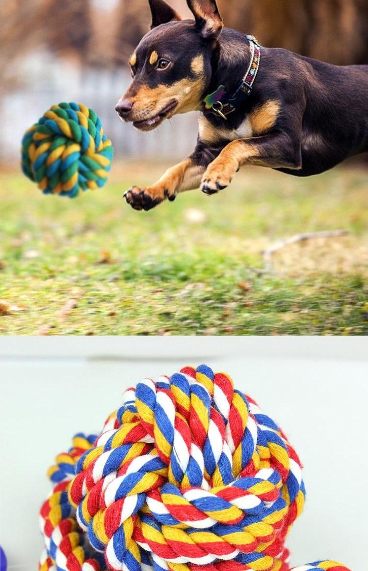 Pet puppy dog ​​toy ball Teddy puppy puppy toy vocal cat toy cung cấp la hét gà đồ chơi bông bóng đồ chơi đồ chơi cho chó ngứa răng