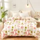 Vỏ chăn đơn mảnh 100% cotton chăn trải giường đơn đôi ký túc xá sinh viên 1,5m1,8m 200x230 bộ đơn - Quilt Covers