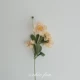 Колеса Chrysanthemum Легкий шампанский симуляция цветок