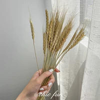 Mai Sui [около 25 брендов из 25 ученых]