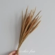 Kisse grass [около 35 веток в одном бункере]