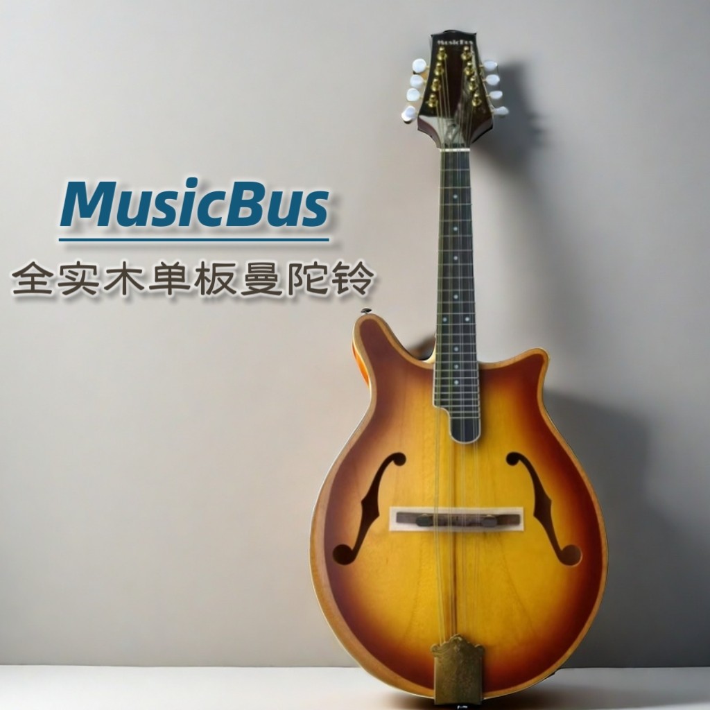 MusicBusの無垢材マンドリンは、背もたれ付きの8弦楽器で、チベットの伝統的な楽器です。