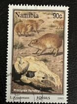 Old animal tickets--Namibia with discounts