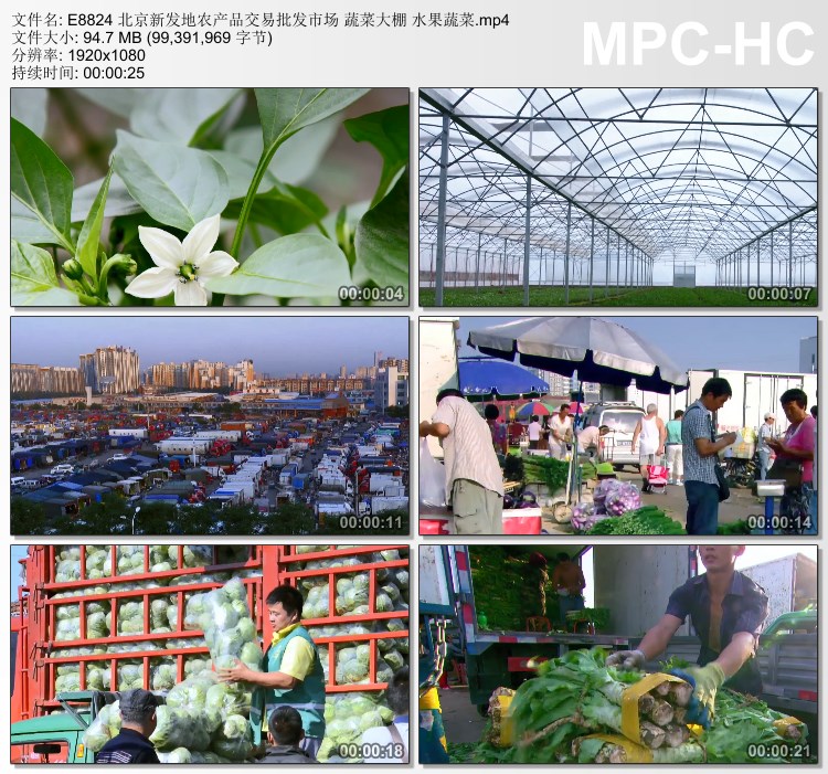 Beijing Xinfadi Agricultural Products Trading Wholesale Market Vegetable Greenhouse Fruits and Vegetables Real Shot Footage