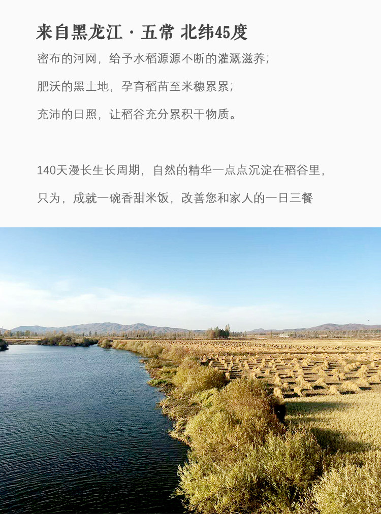 index_06.jpg