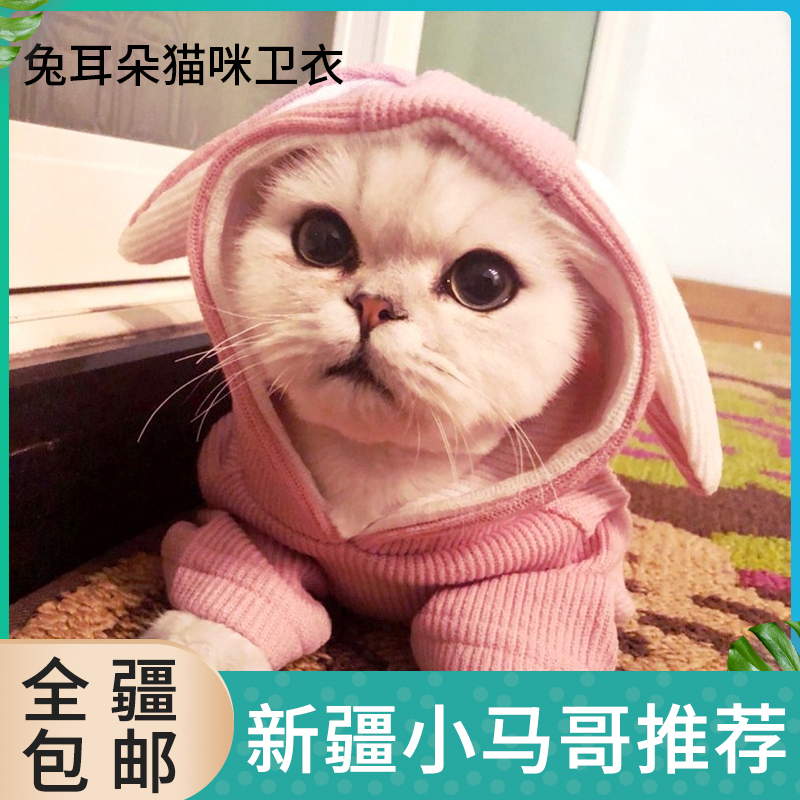 Xinjiang RMB50  Rabbit earbuds dress more than bear teddy fight kitty Cat Pets Clothes Spring Dress Summer Dress-Taobao
