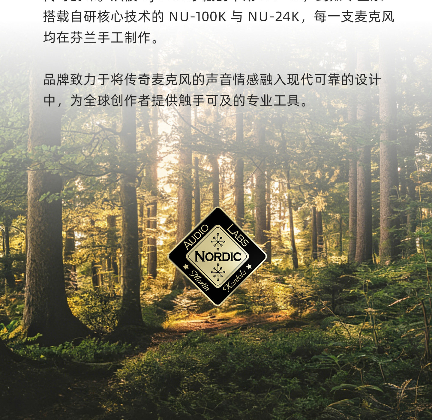 Nordic Audio Labs NU-100K多指向大振膜电容话筒 录音棚麦克风