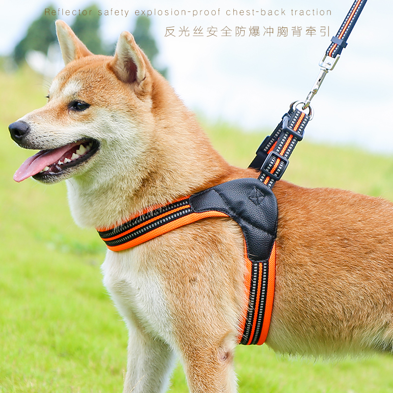 Dog traction rope chest holding baby bag Teddy method Corgi Shiba Inu vest type small and medium-sized dog walking dog rope dog chain