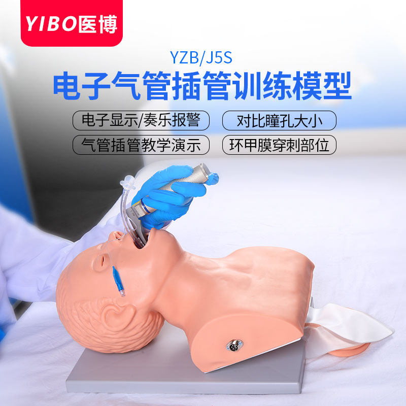 成人电子人体气管插管训练模型 护士练习用气管插管教学模型教具