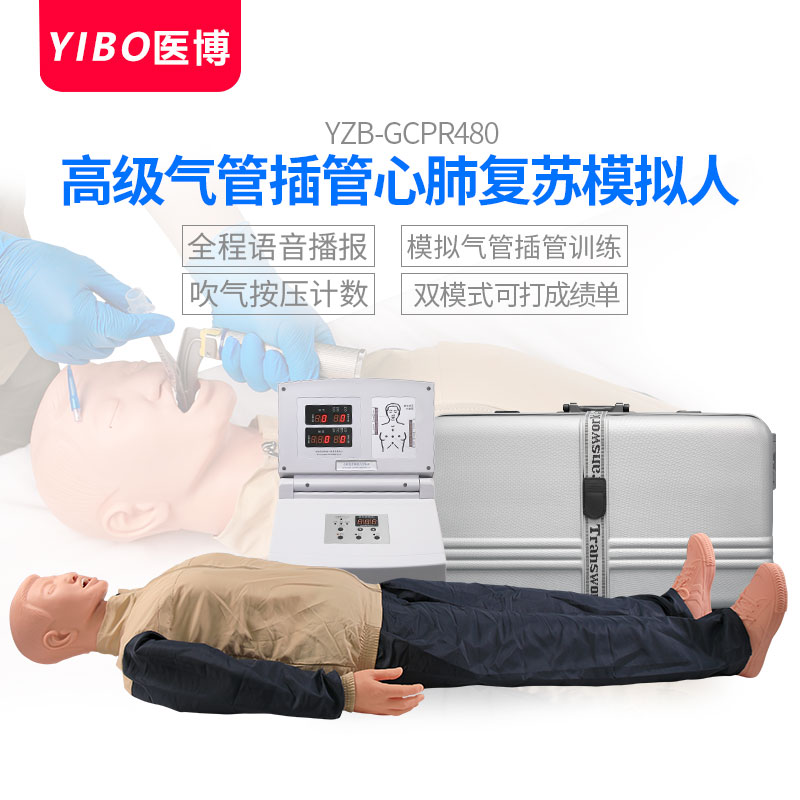 高级心肺复苏模拟人全身CPR人工呼吸急救气管插管训练训练模型