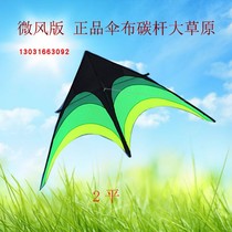Nouvel étoffe de ombrelle en carbone grand kite de prairie kite kite Weifang kite avec vent fort
