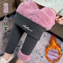 Autumn and winter ultra-thick cloud velvet leggings for womens outerwear high-waist plus velvet thickened Northeastern extra-thick lamb velvet warm cotton pants