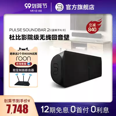 BLUESOUND SOUNDBAR 2i Dolby Panorama Sound TV Audio Home Echo Wall Cinema Class Speaker