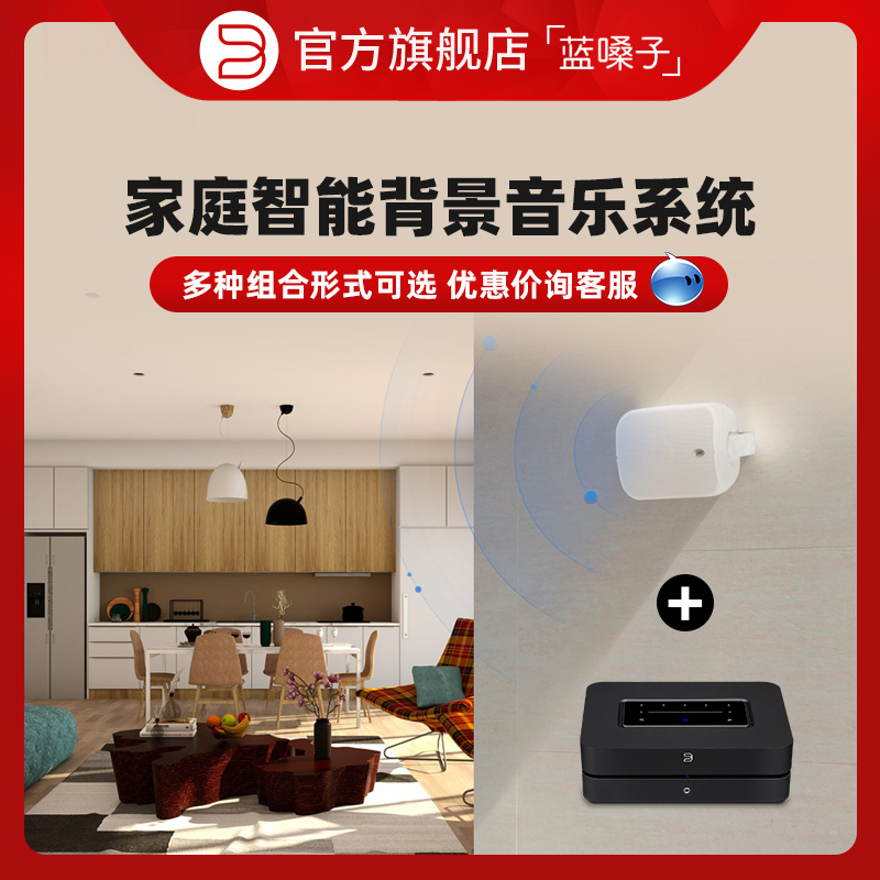 Canada Bluesound power amplifier paired with PSB embedded suction top hanging wall horn family background music system