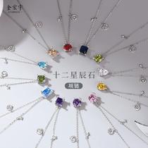 Original twelve constellation necklace womens 925 silver ins fashion dopamine clavicle chain internet celebrity new summer accessories