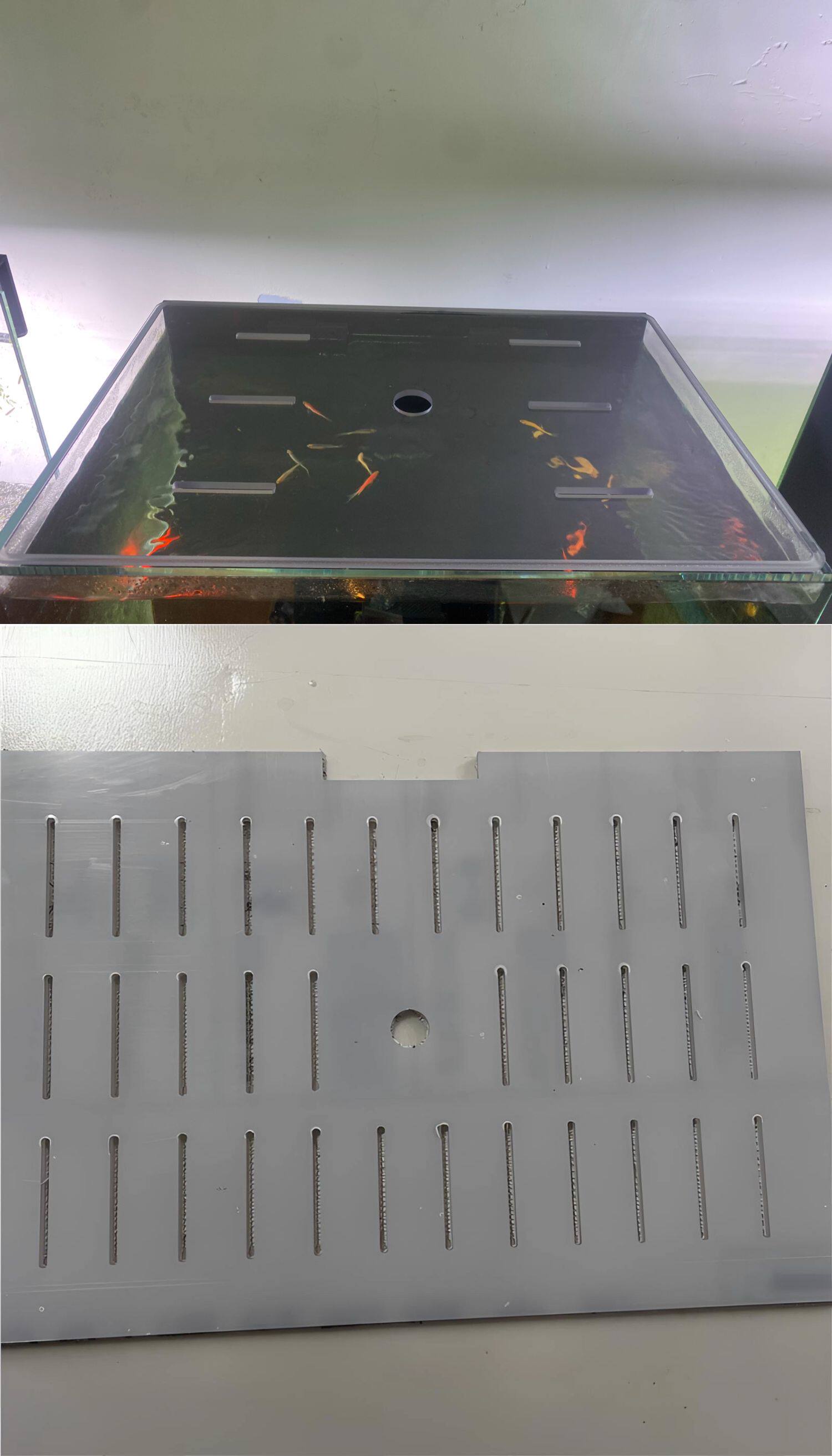 【久物萤火虫鱼缸配件 改装更好玩 非原厂件】B7鱼缸盖子B5拦鱼网 detail 6