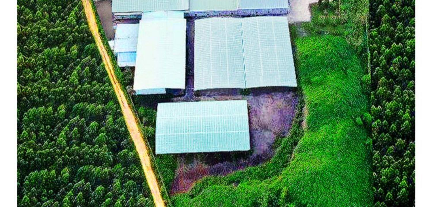 尼特利水草泥鱼缸生态草缸营养土开缸伴侣水草液肥专用水草泥底砂 detail 9