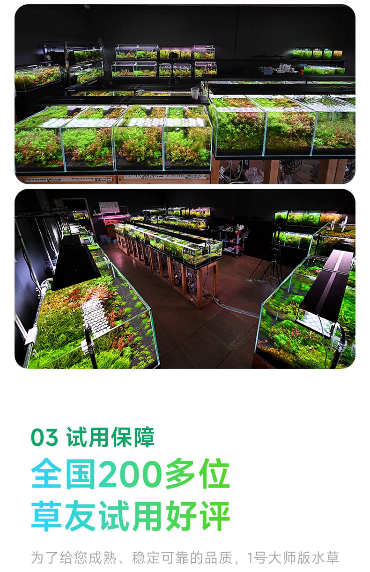 尼特利水草泥鱼缸生态草缸营养土开缸伴侣水草液肥专用水草泥底砂 detail 11