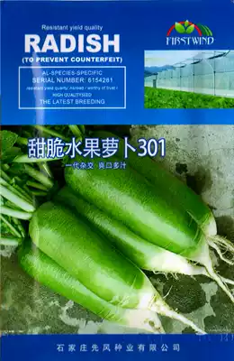 New vegetable seeds crispy sweet water Rob 301 refreshing juicy raw sweet green skin green meat spring and autumn