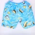 Bán buôn quần áo thể thao nam nhanh khô thường xuyên quần short nam 5 quần mùa hè nhà quần lớn quần đi biển - Quần bãi biển