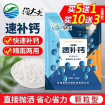 Granules Speed Calcium Supplementation Aquaculture Cellulant Shrimp Crab hard case Bao Crayfish Ion Calcium Dehulting Promote Growth