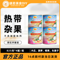 Dragon Tropical Miscellaneous Fruits Canned 825gx4 Jar Ready-to-mix Shummy Fruit Canned Pizza Baking Raw Material